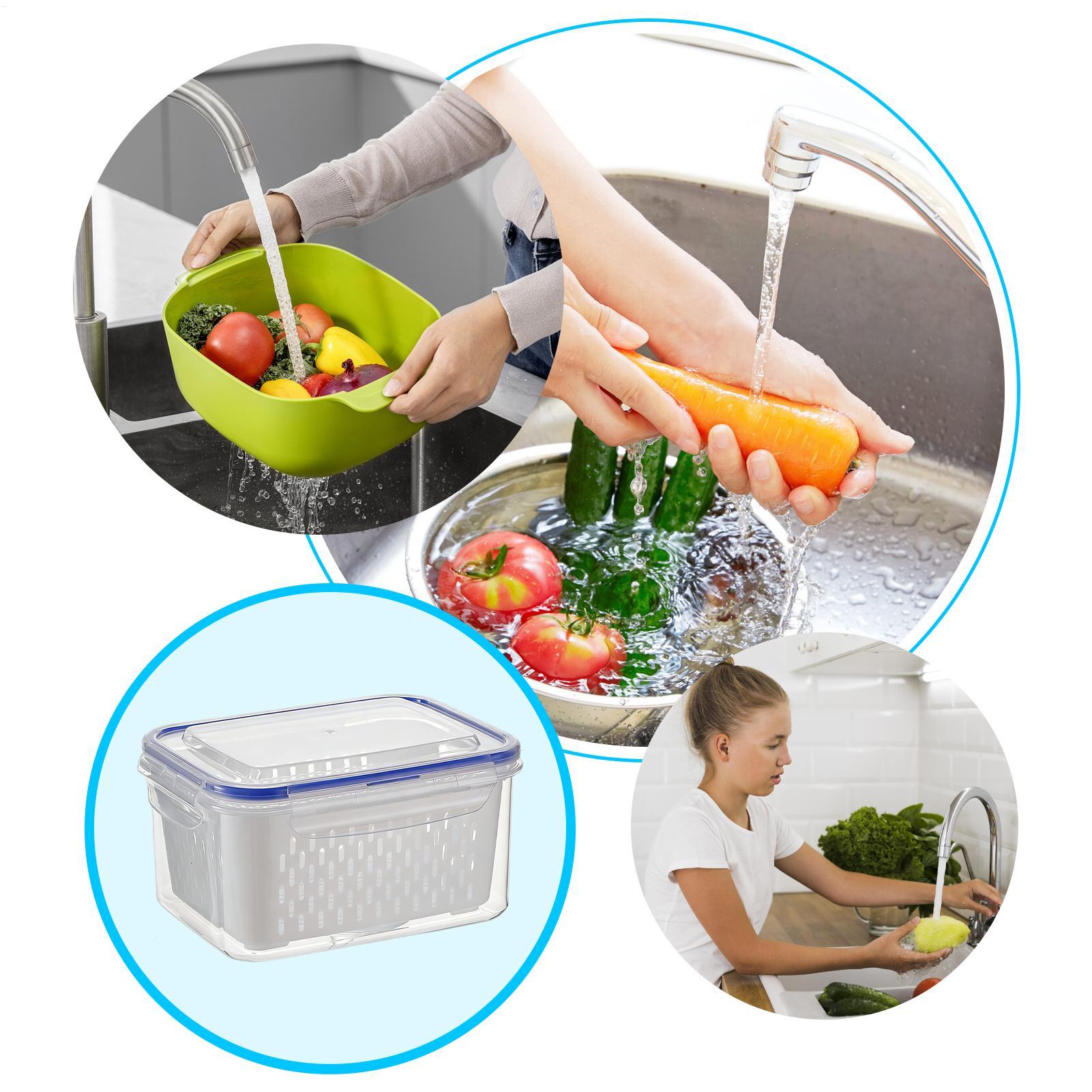 Container de Armazenamento de  - Food Storage Containers avaliação e preço